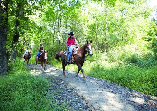 Horseback riding